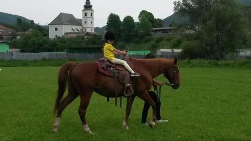 Pondelok - 30.05.2016 ( Z&nbsp;rozprávky do&nbsp;rozprávky -žltá)