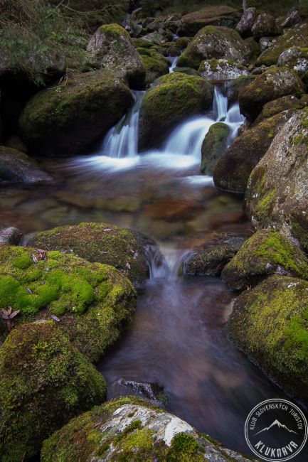 Meďodolská dolina, Zelené Pleso